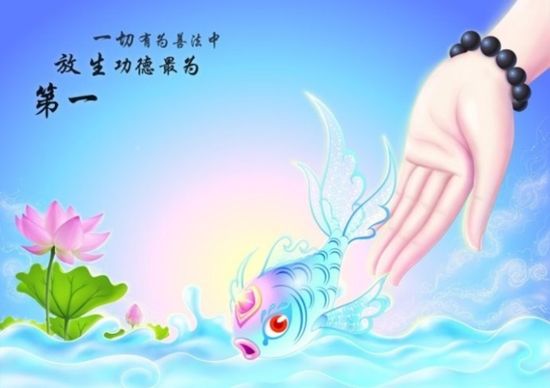随时随地大量放生的方法(图1)
