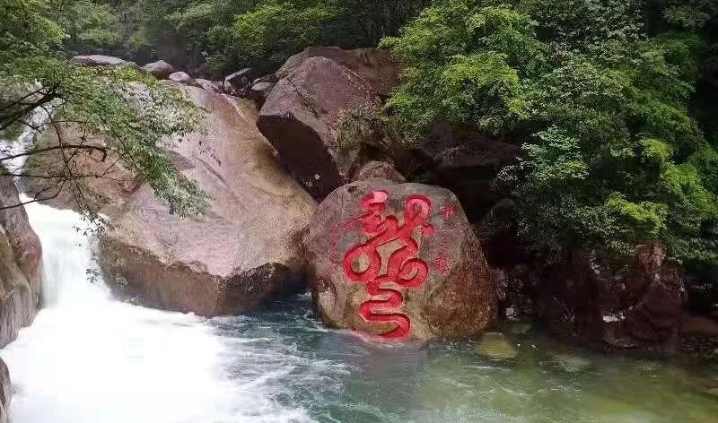 2021年戴上师武夷山超度纪实(图7)