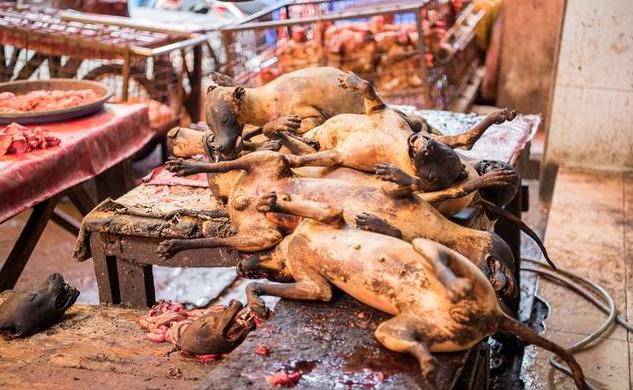 施食与出离心(图5)