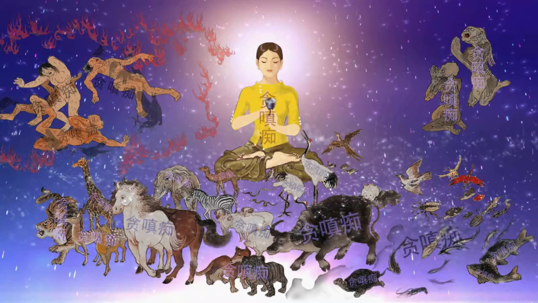 戴师普传 地藏火供仪轨 动画版(图22)