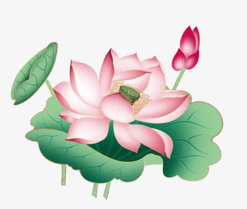 度生实习生之妙法还业债 上师来指引(图1)