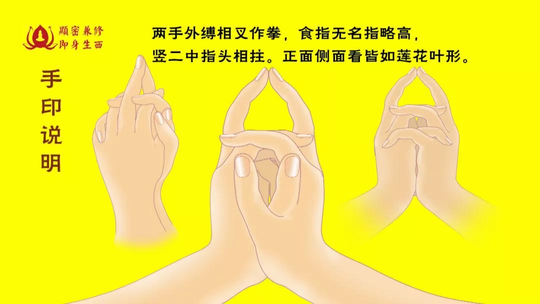 4分钟动画视频-戴师普传往生咒修证简仪(图2)