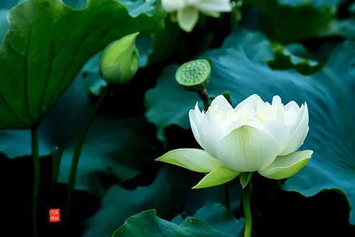 平定疫情 展望2022(图4)